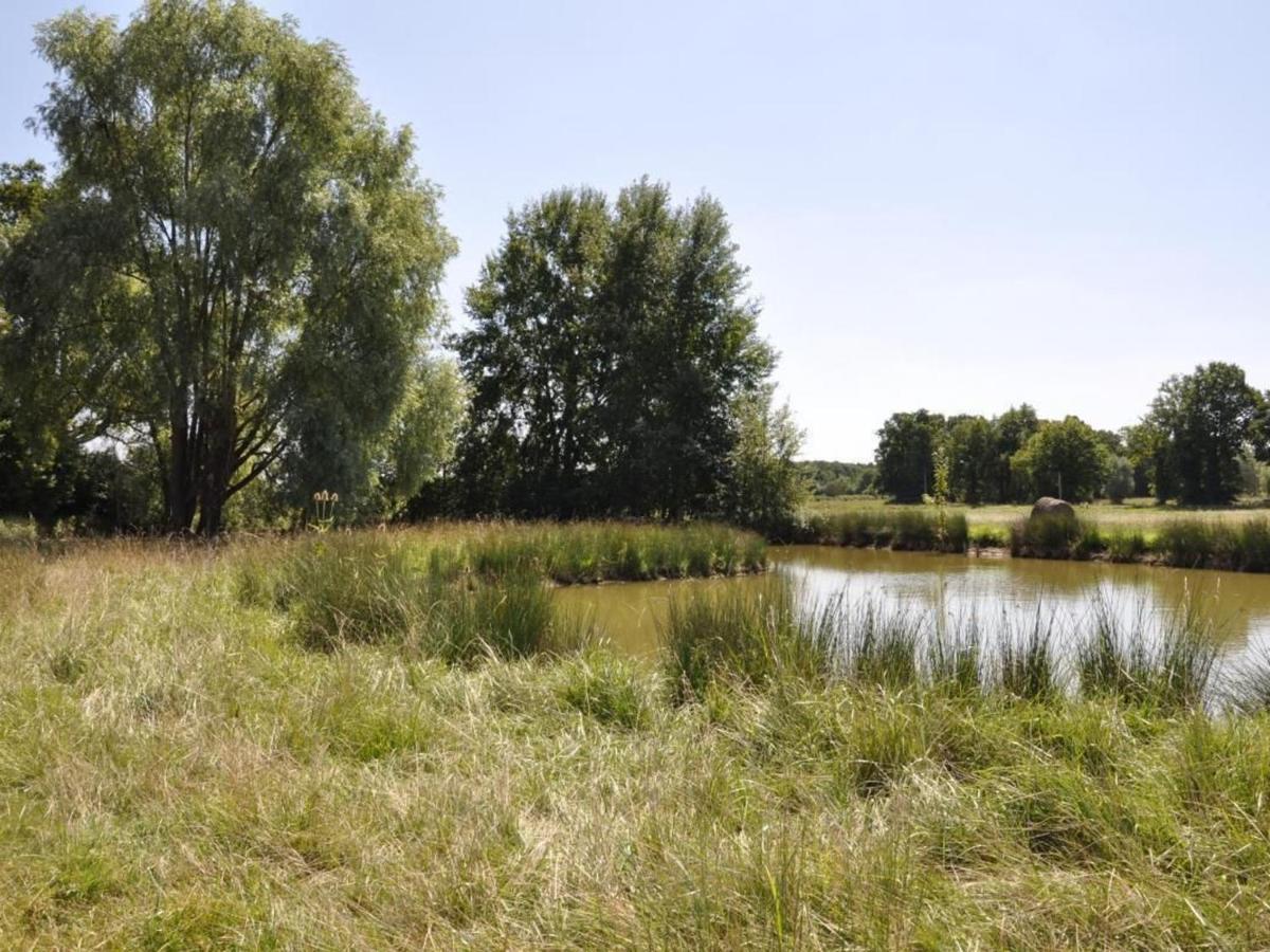 Gite Familial En Ferme Avec Jardin, Proche Foret Et Canal D'Orleans - Label Tourisme Et Handicap - Fr-1-590-7 Chailly-en-Gatinais Exterior photo